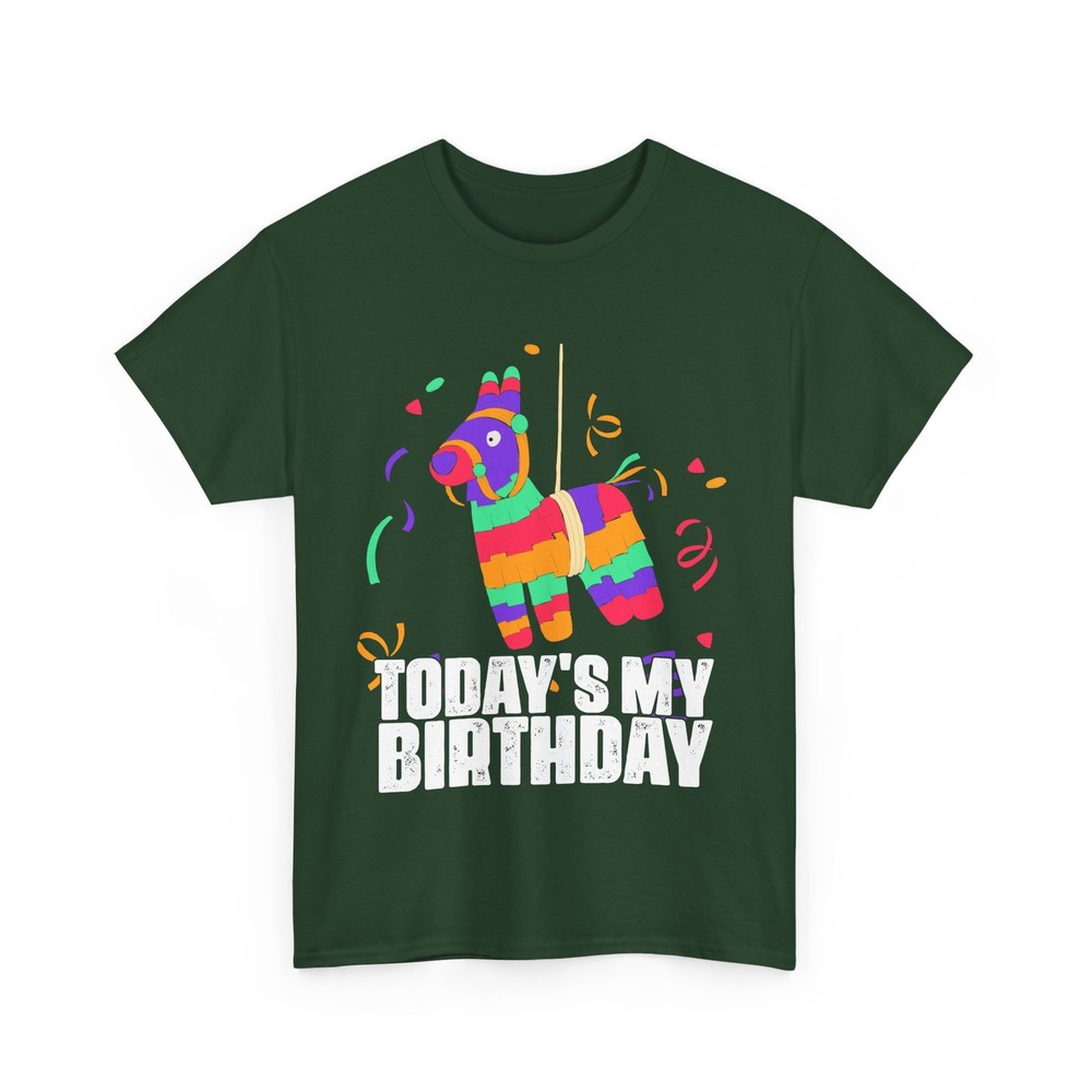 Llama Shirt, Today’s My Birthday Llama Funny Shirt, Llama Cute T-shirt