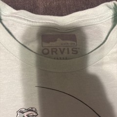 Orvis Men’s Short Sleeve Light Green Used Size Large Pre-Owned