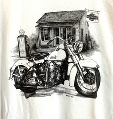 Harley-Davidson Motorcycles Gainesville, Florida Men’s Size 3XL White T-Shirt