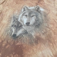 Men’s Extra Large The Mountain Wolf T-Shirt Long Sleeve Brown Tie Dye Streetwear