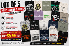 Lot of 5 Men’s Graphic T-Shirts Random Mixed Vintage Concert Tour Streetwear New
