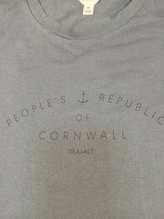 Seasalt Cornwall Mens T-Shirt Medium M Teal Organic Cotton Graphic Print