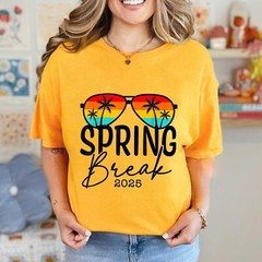 Aesthetic 2025 Spring Break Friends Family Tee Men Women T-Shirt
