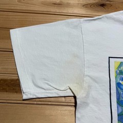 Vintage 1995 Texas Bluebonnets Wildflower Floral Art Graphic T-Shirt USA Medium