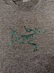 Arc’teryx T-Shirt Big Logo Tee Men Size Medium