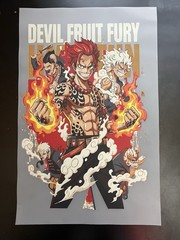 Devil Fruit Fury DTF Heat Transfer 11×17 Inch Ready to Press Cold Peel