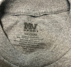 Lakeside Ohio Graphic Gray T-Shirt Medium 27 In Long/19 In Wide