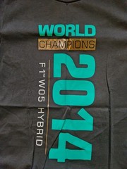 Mercedes AMG Petronas Formula 1 2014 Constructors Champions Black T-Shirt Size M