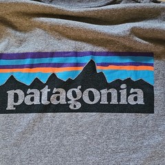 Patagonia Men’s L Gray Long Sleeve Crew Neck Graphic Logo T-Shirt