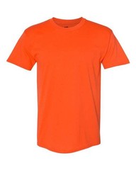 Hanes 5170 Unisex EcoSmart T-Shirt
