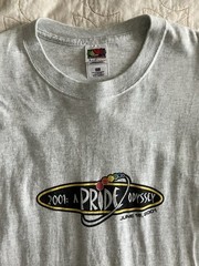 Got Pride Odyssey 2001 T-Shirt Out And Proud LGBTQ Michigan Gray XXL 2XL FOTL