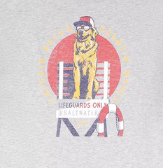 New Men’s 3XLT Big & Tall IZOD Saltwater Relaxed Catchin Rays Countin Waves Tee