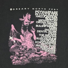 Dreary North Fest Shirt Mens XL Black Chicago Music Festival Band Lineup Demon