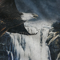 The Mountain Graphic Tee Shirt Flying Eagle Nature Blue 100% Cotton USA Men’s XL