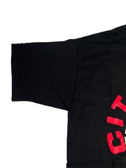 VTG City High Little Hawks Champion Football Single Stitch 1993 1994 T Shirt