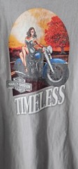 Vintage Harley Davidson T-shirt 2005 Y2K Size L Gray Pinup TIMELESS Chandler AZ