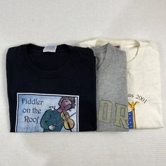 Wholesale Lot of 30 Modern/Vintage Mix Short Sleeve Tee Shirts (Sizes In Desc)