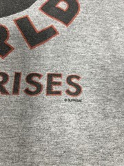 2007 Supreme RIP James Brown Man’s World Enterprises T-Shirt Gray Large Tee 07 L