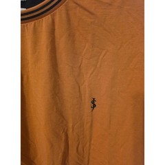 Scott James Mens XL Burnt Orange Long Sleeve T-Shirt Striped Crew Neck Cotton