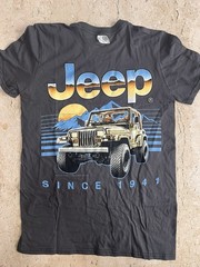 JEEP T-Shirt JEDCO Brand Men’s Small-100% Cotton Gray and Graphic Print