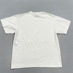 Vintage Hanes Beefy-T Shirt Mens Large White Diversity Arrowheads Graphic 1996