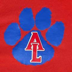 Nike Dri-Fit T-Shirt M Abraham Lincoln High School Lynx Red #24 Jersey 36″ Chest