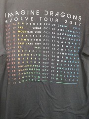 Imagine Dragons Evolve Tour 2017 Official Merch Mens Medium T-shirt Band Concert