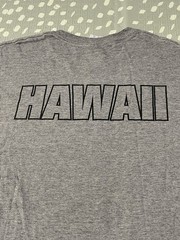 Vintage Y2K Hawaii Marine Football T-Shirt XL Gray Alstyle AAA MCBH USMC 90s