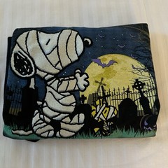 Gildan Peanuts Snoopy Halloween Shirt Large Black Mummy Woodstock Happy Haunting