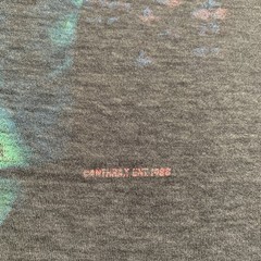 VTG 80s Anthrax Spreading The Disease Tour 1988 T-Shirt Mens Large *Super Thin*