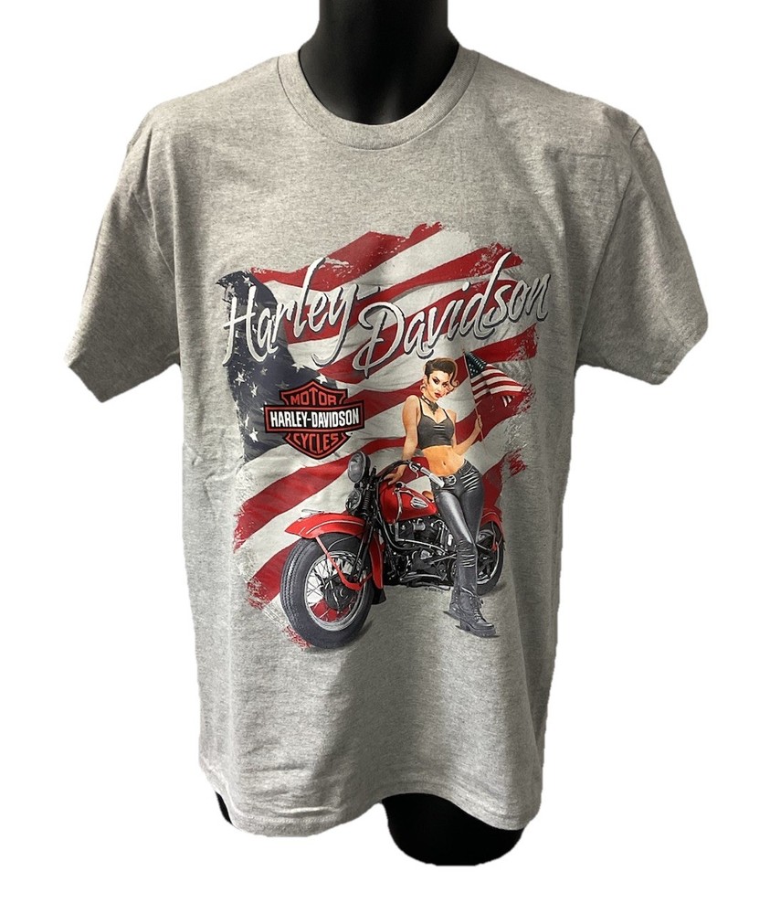 Harley Davidson Men’s Flare Patriotic Short Sleeve T-Shirt Gray 402946170
