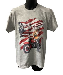 Harley Davidson Men’s Flare Patriotic Short Sleeve T-Shirt Gray 402946170