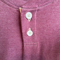 The Normal Brand Puremeso Two Button Henley in Wine