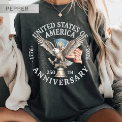 USA 250th Anniversary Liberty Bell Comfort Tee Patriotic