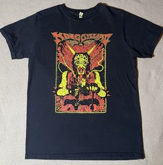 King Gizzard And The Lizard Wizard Psychedelic Graphic Band T-Shirt KGLW Tee M