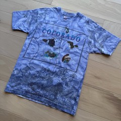 Vintage Colorado Shirt Large Multicolor 90s All Over Print Nature Art Eagle