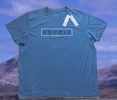 Esprit Mens T-Shirt 3XL, 4XL, 5XL Turquoise, Dove Blue, Cotton, Cotton