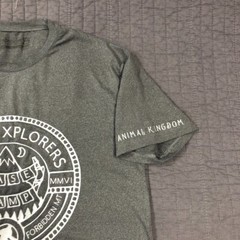 Avalanche Everest T Shirt Men Medium Gray Base Camp Graphic Hiking Big Foot