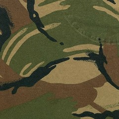 Polo Ralph Lauren Mens Camo Pocket T-Shirt Custom Slim Fit Green Brown Large