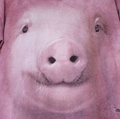 The Mountain Pig Tee Tie Dye Pink Mens XL Shirt Nature Animals Outdoors Boho