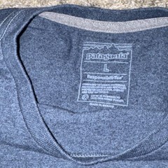 Patagonia Men’s Blue Short Sleeve Crew Neck Graphic Logo Back Of Tee XL