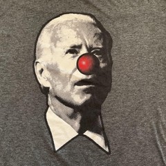 Shield Republic Shirt Mens XL Joe Biden Clown Nose Graphic Funny Tee Political