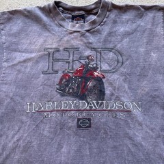 Harley Davidson Men’s Myrtle Beach PirateBiker Graphic Shirt Gray Medium Cotton