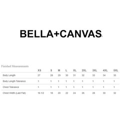 Bella + Canvas 3001CVC Unisex T-Shirt Heather Stylish Tee Retail Fit CVC T Shirt