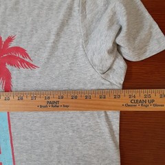 Chubbies Mens Large Grey Short Sleeved T-Shirt Spangled Banner USA Print New