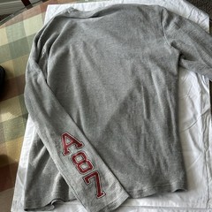 Aéropostale Men’s M Gray Long Sleeve Crew Neck Waffle Knit Graphic Logo Tee