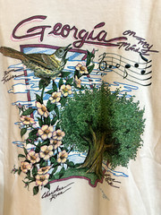 Vintage 1990 Georgia on My Mind Large Single Stitch T-Shirt USA