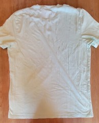 Hollister T-Shirt Men’s Large Must Have Collection Crew Neck Short Sleeve