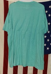 Hanes Ultimate X-Temp T-Shirt Breezy Green – Men’s 2XL – Cooling Wicking – NWT