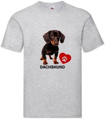 Dachshund Dog Pet Family Friend Novelty T Shirt Various Colours And Sizes